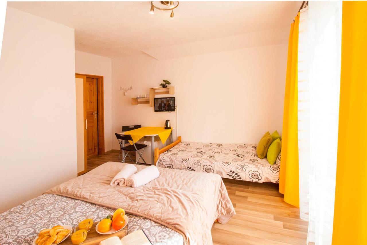 Bieszczadzki Brat Apartamenty Polańczyk Buitenkant foto